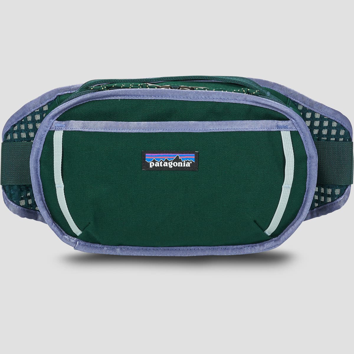Ledvinka Patagonia Fieldsmith Hip Pack, zelená