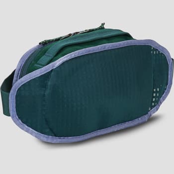 Ledvinka Patagonia Fieldsmith Hip Pack, zelená 3