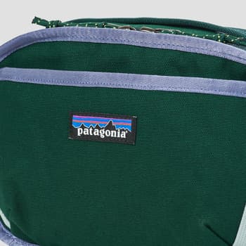 Ledvinka Patagonia Fieldsmith Hip Pack, zelená 4