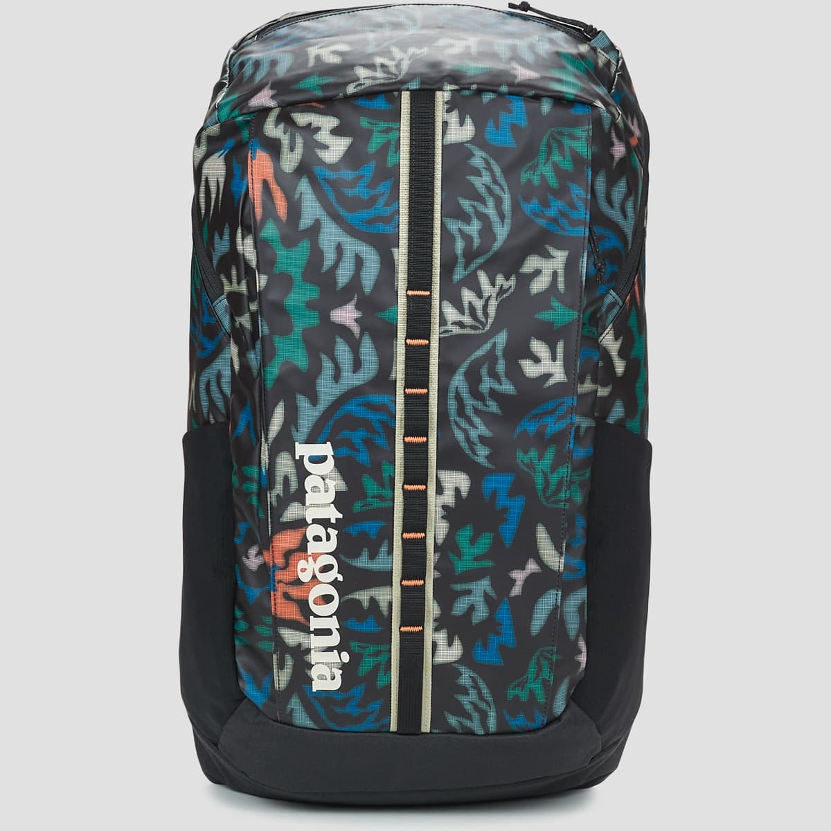 Batoh Patagonia Black Hole Pack 25L, vícebarevná