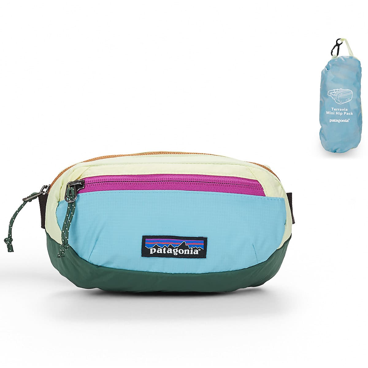 Ledvinka Patagonia Terravia Mini HIP Pack, vícebarevná