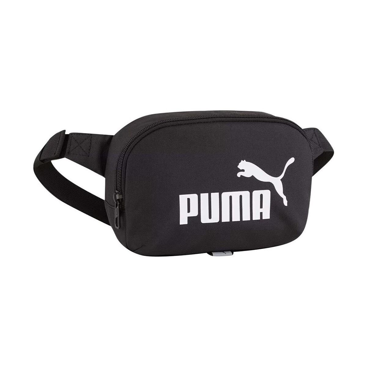 Ledvinka Puma Phase